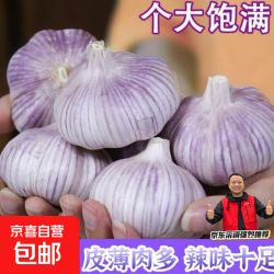 京喜加 网兜紫白皮干蒜  1斤装450g