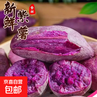 京喜 新鲜沙地紫薯 富含花青素 安徽现挖  中大果（3两起） 1斤含箱