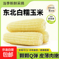 京喜 正宗东北真空黄糯玉米  2根*240g