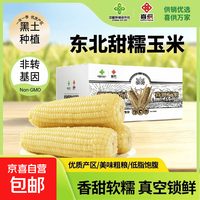 京东 新鲜真空白糯玉米加热即食大棒东北五常甜糯玉米早餐超市直播间 真空白糯玉米10根*250g 净重