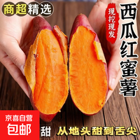 京喜 新鲜现挖沙地西瓜红红薯  带箱1斤*中大果（3两-8两）