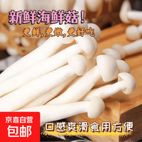 京喜 新鲜海鲜菇  净重50克