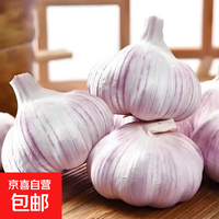 京喜 精品金乡紫皮大蒜头 大果4.5-5cm*净重245g