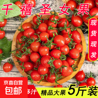 京喜 云南新鲜圣女果  1斤净重