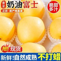 移动端：无品牌 山东烟台栖霞奶油富士苹果 3斤 65-70mm