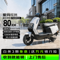 爱玛 辉腾 电动摩托车 72V21.8Ah