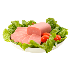 齐赞 三文治火腿午餐肉方腿方便速食即食火腿切片早餐肠火锅食材方火腿 220*10支