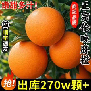 顾一 湖北秭归脐橙 1斤 60-70mm