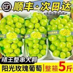 果天赐 山西阳光玫瑰葡萄 3斤 顺丰冷链