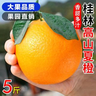 移动端：津果 广西夏橙新鲜橙子现摘大果孕妇水果当季伦晚甜橙手剥脐橙整箱