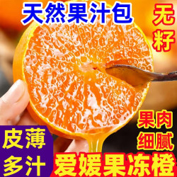豔疅 四川 爱媛果冻橙 9斤
