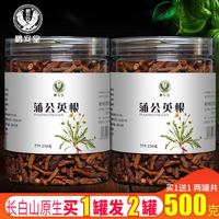鹏安堂 蒲公英根500g克罐装茶叶蒲公英根茶炒熟公英根茶