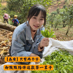 景迈山春茶香甜 支持开袋试喝 云南产地直发