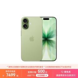 Apple iPhone 17 5G手机 8GB+512GB 鼠尾草绿色