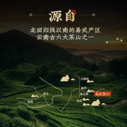 虎标茶 易武普洱茶生茶 200g 饼茶