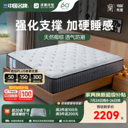 雅兰 独立弹簧 床垫  护脊版22cm 20-25cm（含） 150*200cm 偏硬