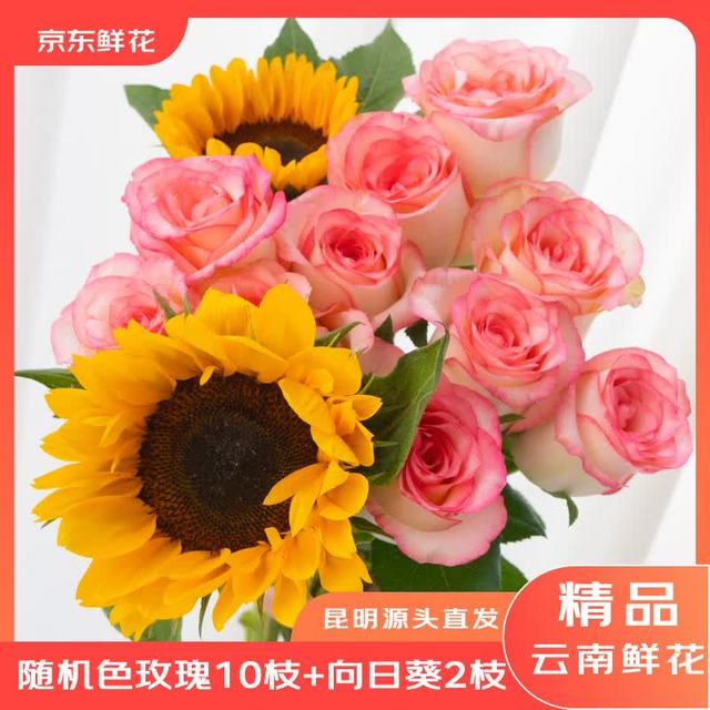京东鲜花 云南昆明基地鲜花色玫瑰10枝+向日葵5枝生活鲜花源头直发