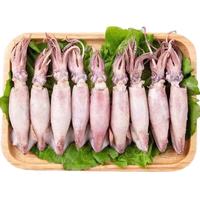 新鲜全籽籽乌500g*5袋
