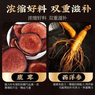 黄金搭档 鹿茸西洋参片 缓解体力疲劳 0.5g*60片