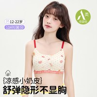 初棉树少女内衣三阶段发育期文胸夏薄款