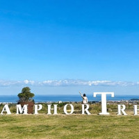 济州香樟别墅酒店及度假村(Camphortree Hotel and Resort) 家庭套房1晚
