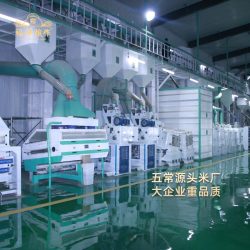 福神粮作 五常大米 5kg 真空包装