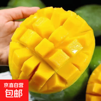 攀枝花 凯特芒果 台农芒果 净重4.5-5斤 单果400g