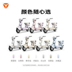 雅迪 摩登莱茵二代 智能电动自行车
