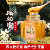 田野牧蜂 枇杷花蜜天然成熟蜂蜜 470g*1瓶