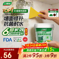 三棵树 防霉耐水修补膏 2.5kg