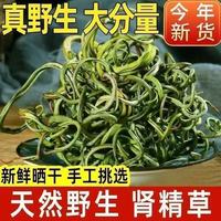 同仁堂 TRT）黄金草嗷嗷叫东北长白山嗷嗷叫野生肾精草化石草泡水喝的