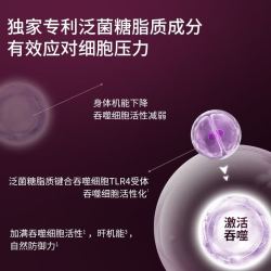 Dr.LPS肝动力UP日本进口护肝净肝片男女士熬夜转氨酶养肝酒精脂肪肝解酒 2盒基础