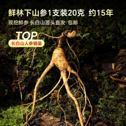 半山农 新鲜林下山参单支装20克 约15年长白山人参补品高档礼品源头直发