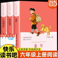 当当网 小英雄雨来爱的教育童年高尔基六年级上册快乐读书吧必读课外书正版原著小说完整版
