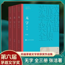 无字 全3册套装 茅盾文学获作品全集 张洁著 人民文学出版社 现当代文学小说名家名作文学散文随笔