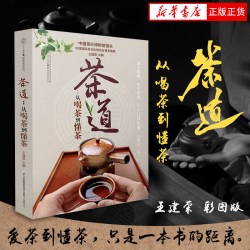 茶道 从喝茶到懂茶（彩图版）中国茶道茶经 1本