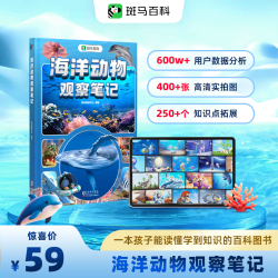 海洋动物观察笔记探秘海底世界自然动物世界百科全书儿童绘本DK百科