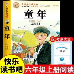 全套3册 童年六年级上册必读正版的课外书高尔基原著完整版爱的教育亚米契斯小英雄雨来快乐读书