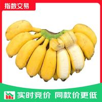 立始 广西小米蕉新鲜酸甜拇指小香蕉现摘青色硬果（小个品种催熟食用） 净重3斤试吃装