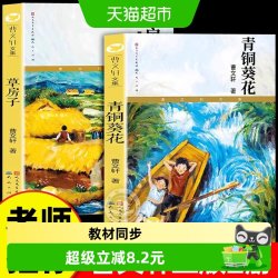 青铜葵花曹文轩作品正版电影原著完整无删减四年级下册阅读课外书
