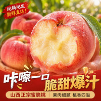 京世泽 山西蜜脆桃 大果5斤装单果150g+