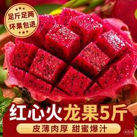 京世泽 红心火龙果 5斤装（单果4两起）