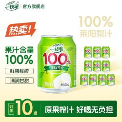 一枝笔 莱阳梨汁整箱罐装果汁饮料