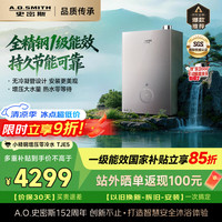 A.O.SMITH JSLQ28-TJE5 一级能效零冷水 16L 天然气 燃气热水器