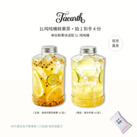 憨哈熊 Taearth FD 冻干水果茶块零反式脂肪酸 冷泡居家办公清爽下午茶