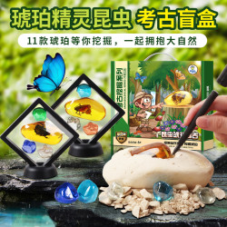 中盛 琥珀昆虫精灵化石标本寻宝儿童宝石挖掘考古玩具手工男孩女孩礼物