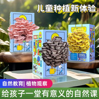 蘑菇种植菌包平菇蘑菇盒家庭室内种植蘑菇科学小实验儿童益智玩具