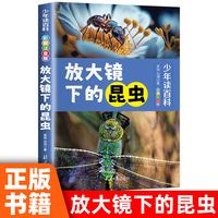 正版彩图注音版少年百科阅读 放大镜下的昆虫青少年儿童百科全书