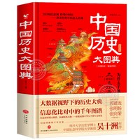 中国历史大图典 用思维导图秒记中国史 吴十洲作序推荐 203幅信息图解中华五千年