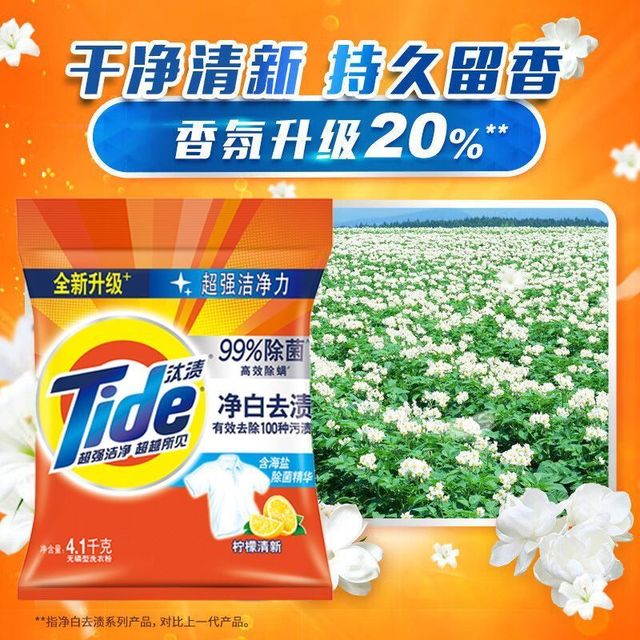 汰渍 净白去渍洗衣粉5kg无磷 10斤
